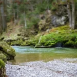 Apă liniștită într-o zonă naturală a unei stațiuni balneare din România, ideală pentru relaxare și sănătate