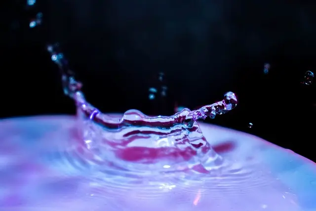 Tehnologia Biomimetică: Inovații din Natură